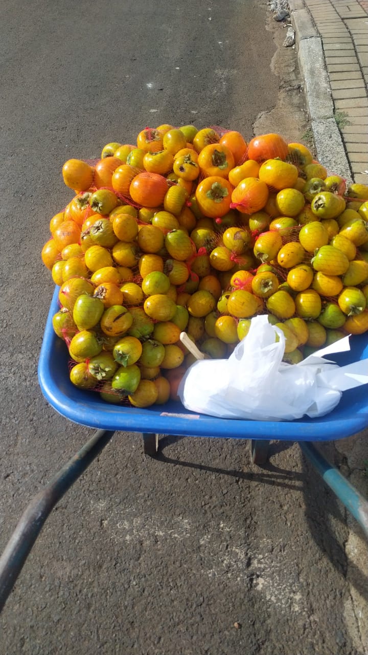Período onde após uma quebra financeira, tive que me reinventar e comecei a vender frutas de porta em porta. 